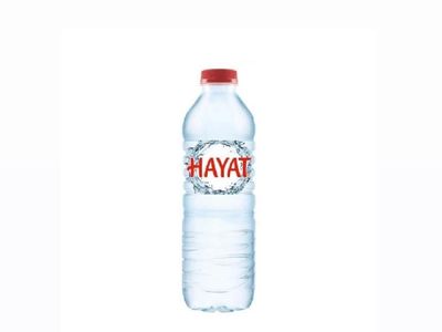 Hayat Su (50 cl.)