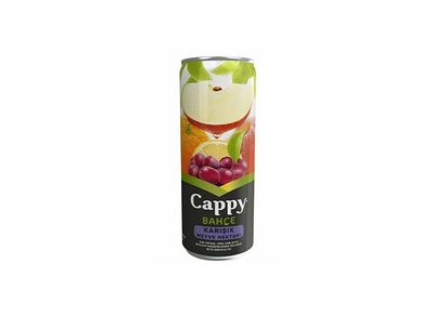 Cappy Karışık (33 cl.)
