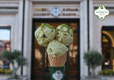 Fıstıklı Dondurma