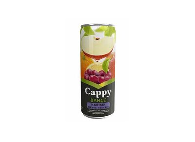 Cappy Karışık (33 cl.)