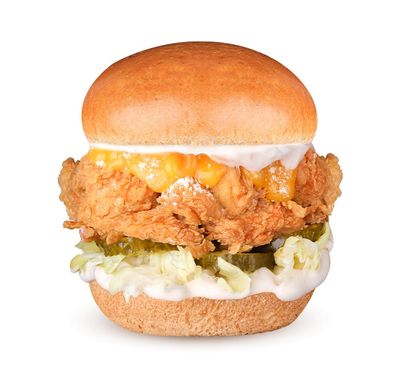 Cheddarlı Parmesanlı Tavuk Burger