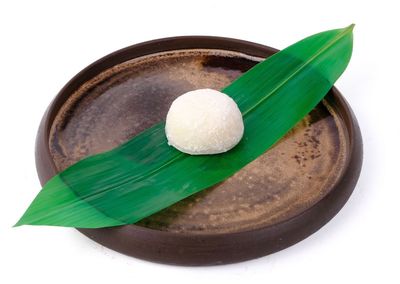 Hindistan Cevizli Mochi