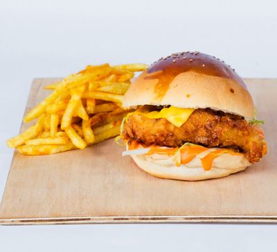 X Mayo Project Burger