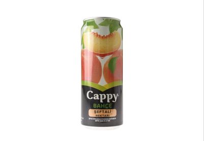 Cappy Şeftali (33 cl.)
