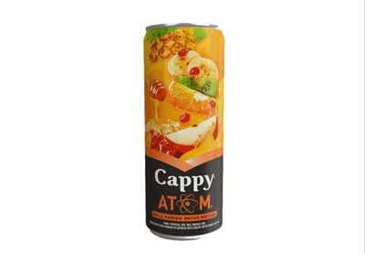 Cappy Karışık (33 cl.)