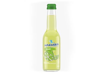 Meyveli Soda (20 cl.)