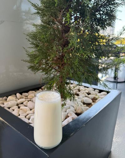 Protein Vanilyalı Shake