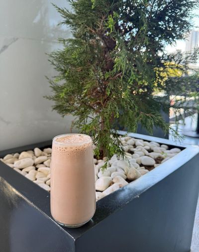 Protein Çikolatalı Shake