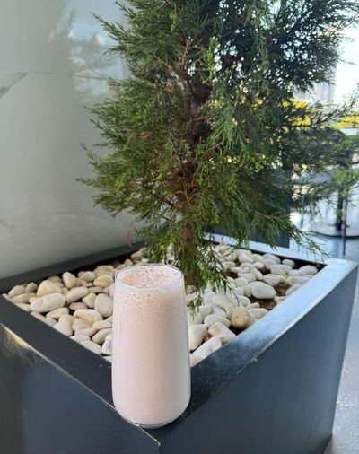 Çilekli Protein Shake