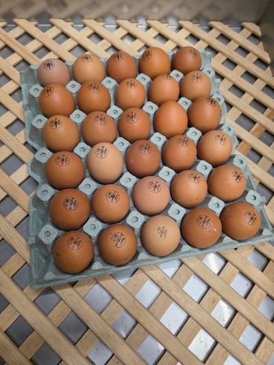 Sarı Köy Yumurtası (30 adet)