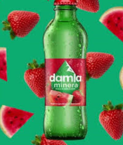 Damla Karpuz & Çilek Soda (20 cl.)