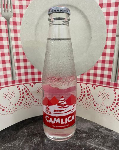 Çamlıca Gazoz (20 cl.)