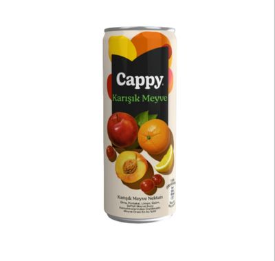 Cappy Karışık (33 cl.)
