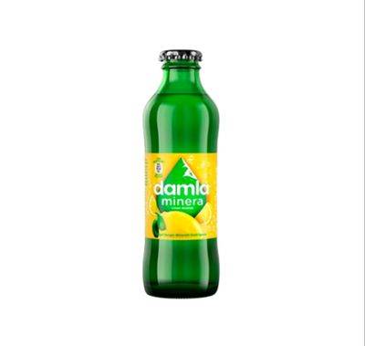 Damla Limonlu Soda (20 cl.)