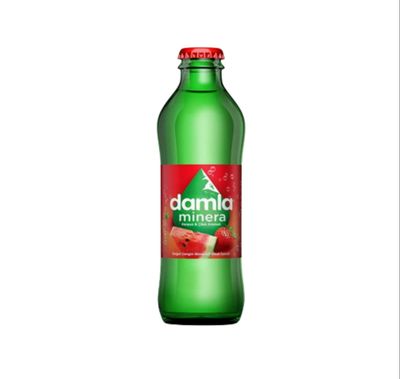 Damla Karpuz & Çilek Soda (20 cl.)