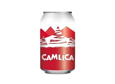 Çamlıca Gazoz (25 cl.)