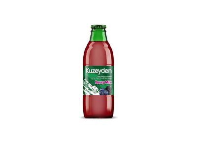 Kuzeyden Berry Mix Soda (20 cl.)