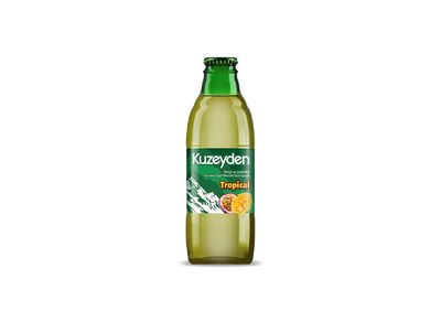 Kuzeyden Tropical Soda (20 cl.)
