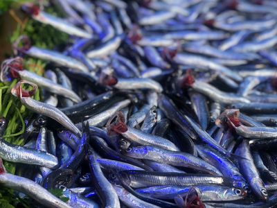 Karadeniz Hamsi (1 kg.) (Pişirilmemiş)