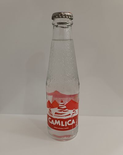 Çamlıca Gazoz (20 cl.)