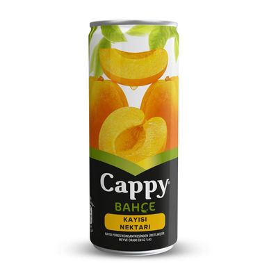 Cappy Kayısı (33 cl.)