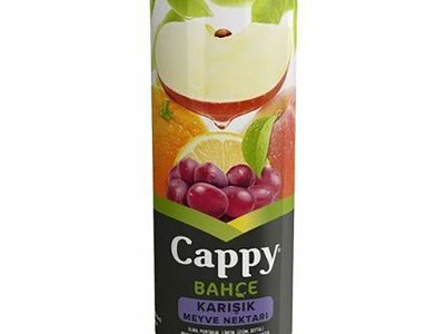 Cappy (33 cl.)