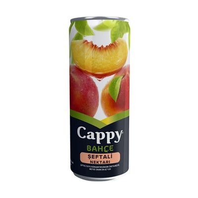 Cappy Şeftali (33 cl.)