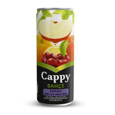 Cappy (33 cl.)