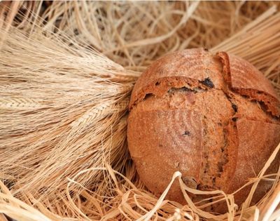 Zeytinli & Ekşi Mayalı Kekikli Tam Buğday Ekmek (530 gr.)