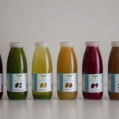 Balanced – Sıvı Beslenme Orta Seviye (250 ml.)