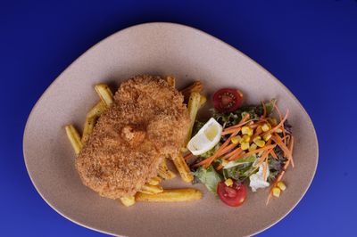 Tavuk Schnitzel