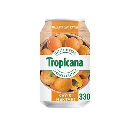 Tropicana Kayısı (33 cl.)