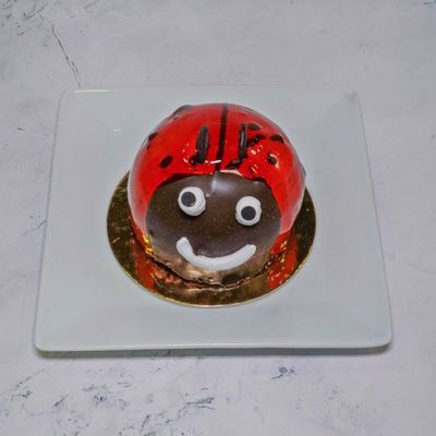 Çikolatalı Uğur Böceği Pasta (Adet)