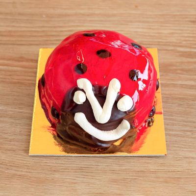 Uğur Böceği Çikolatalı Pasta (8-10 Kişilik)