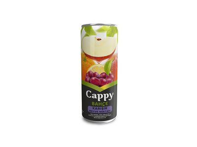 Cappy (25 cl.)