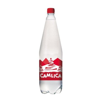 Çamlıca Gazoz (1 L.)