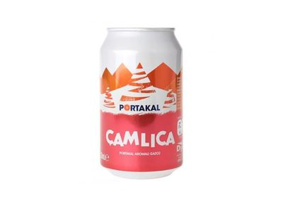 Çamlıca Portakallı Gazoz (33 cl.)