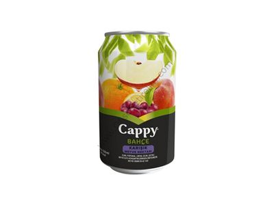 Cappy Karışık (33 cl.)