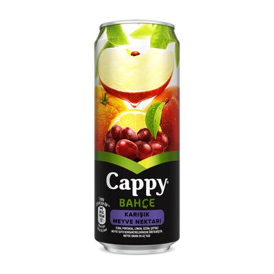Cappy Karışık (33 cl.)
