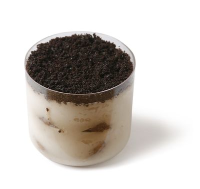 Tiramisu Cup