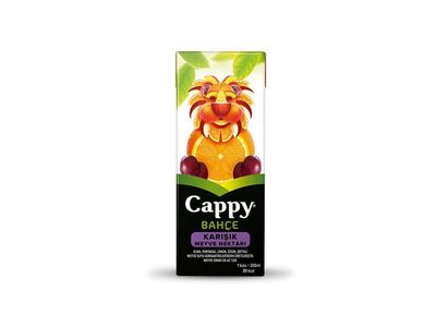 Cappy Karışık Meyve Suyu (20 cl.)