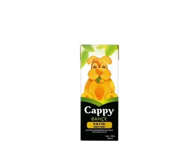 Cappy Kayısı (20 cl.)
