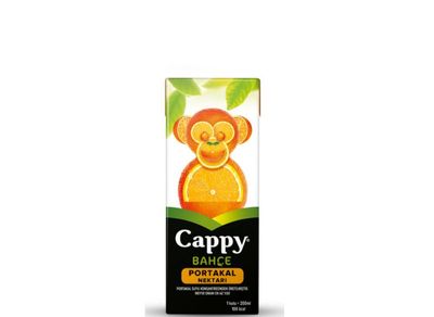 Cappy Portakal (20 cl.)
