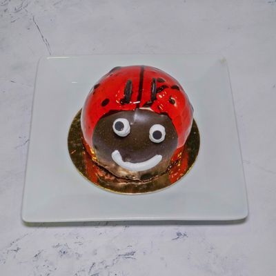 Uğur Böceği Yaş Pasta (No.0) (4-6 Kişilik)