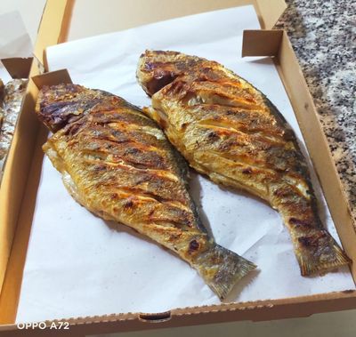  Deniz Çipura (1 kg.)