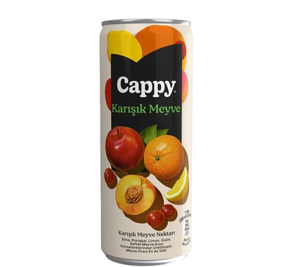 Cappy Karışık (33 cl.)