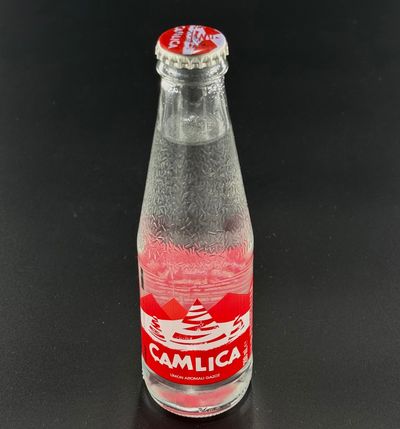 Çamlıca Gazoz (25 cl.)