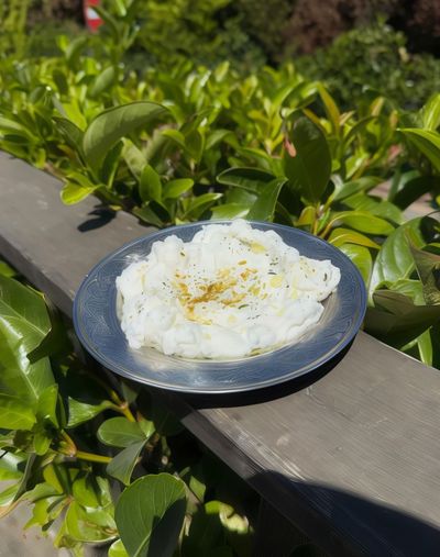 Kuru Cacık
