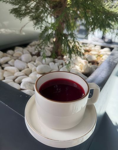 Kış Çiçeği Çayı