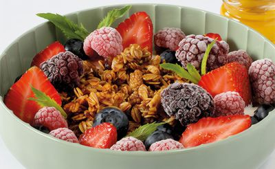 Orman Meyveli Granola